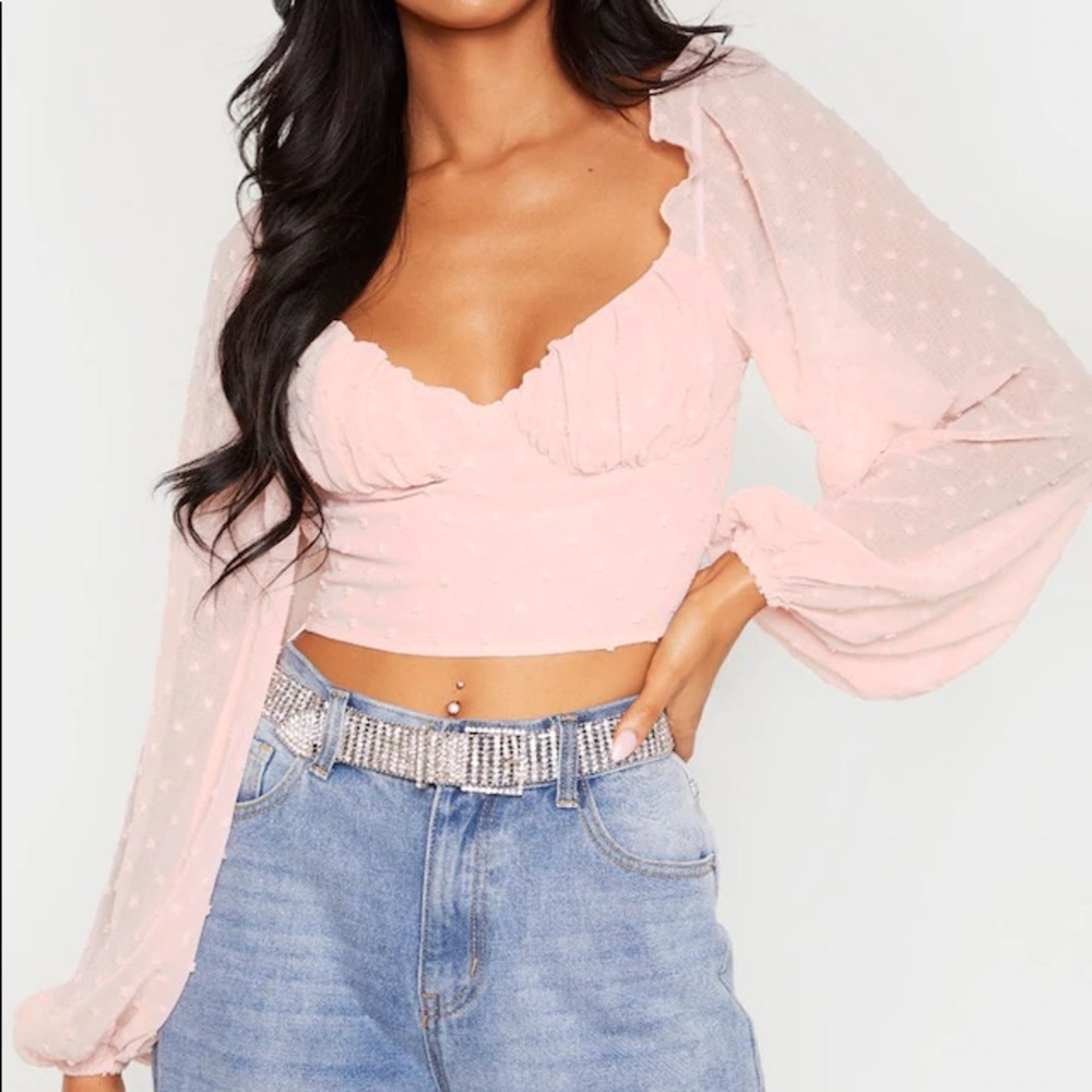 Pretty Little Thing Rose Dobby Mesh Cup Detail Long Sleeve Crop Top